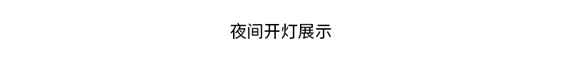 詳情_12